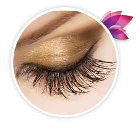 Eyelash Extensions offer